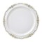 White with Gold Vintage Rim Round Disposable Plastic Dinner Plates - 10&#x22; (120 Plates)